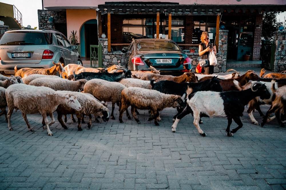 Urlaubsfotos Dokumentarische Familienfotografie