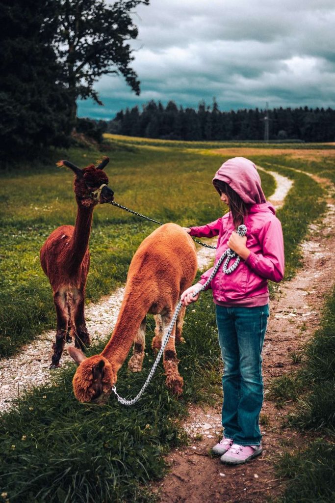 Urlaubsfotos Dokumentarische Familienfotografie