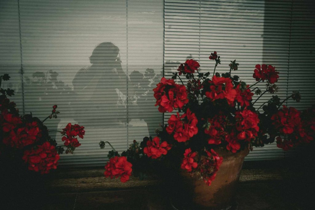 Selbstportrait im Fenster mit Blumen in pink